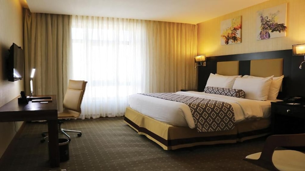Olive Tree Hotel 20/50