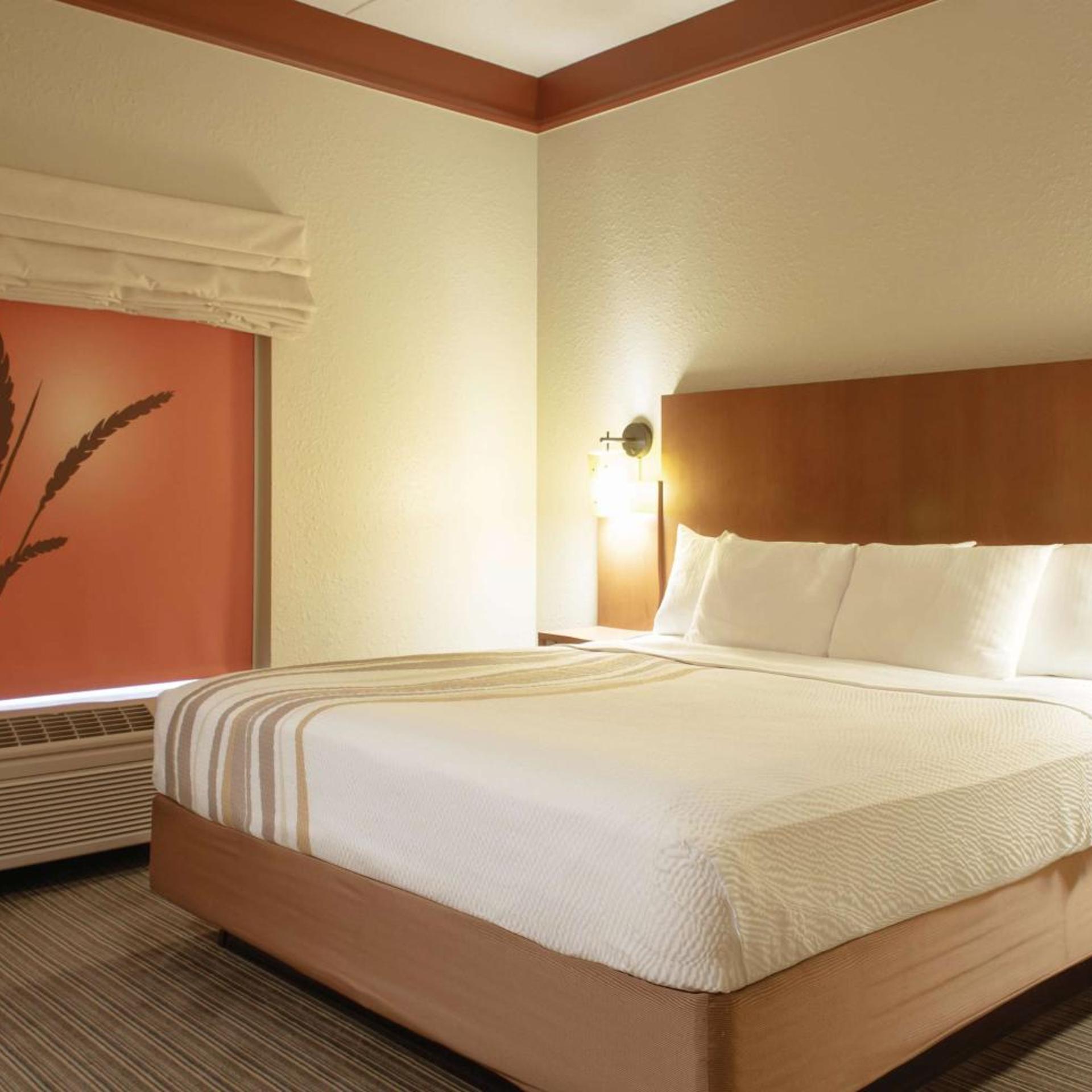 1 Bedroom, Suite, King Bed