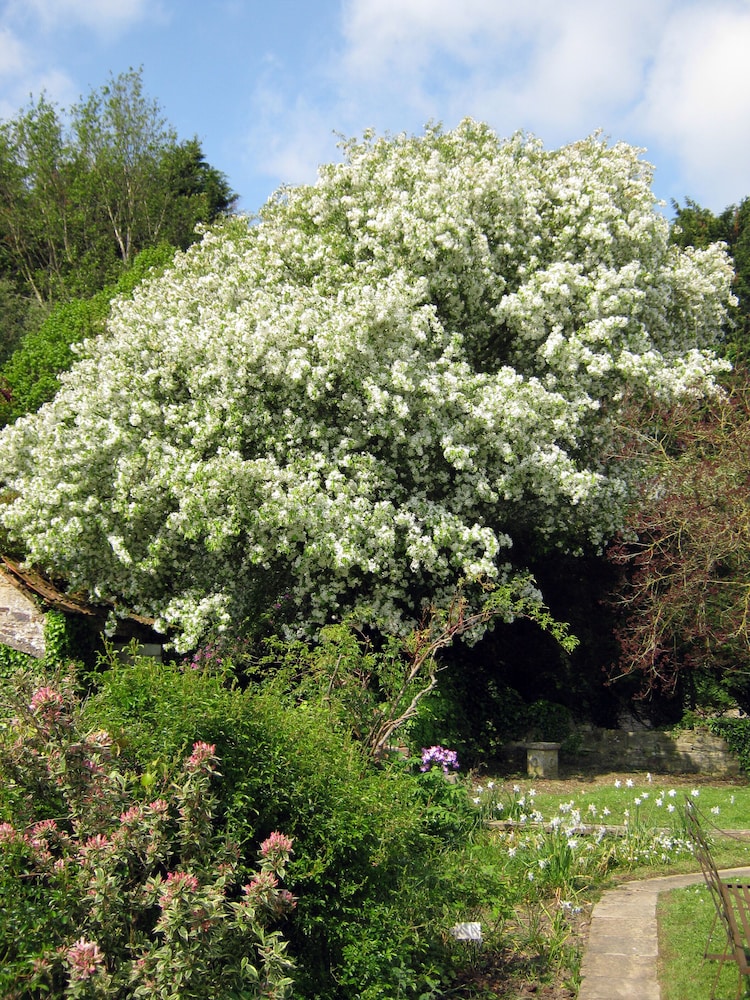 Hollamoor Farm B&B 33/50