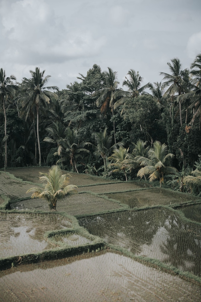 The Ning Resort Ubud 41/50