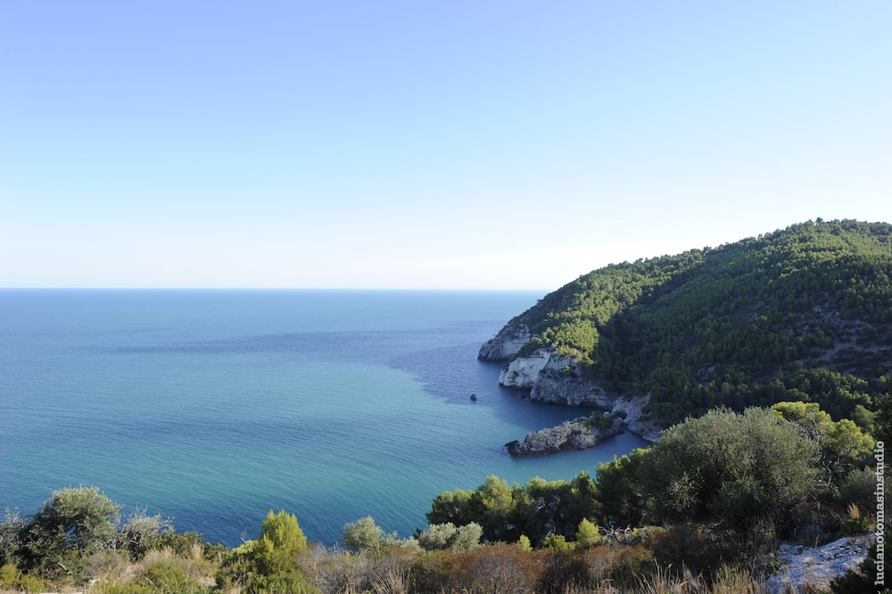 Degli Ulivi Htl Pugnochiuso Resort 42/55