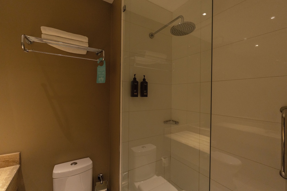 Hotel Terrado Rancagua 46/50