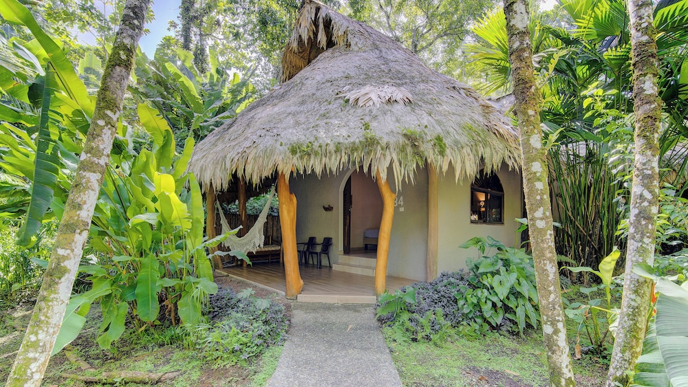 Cariblue Beach Jungle Resort 5/47