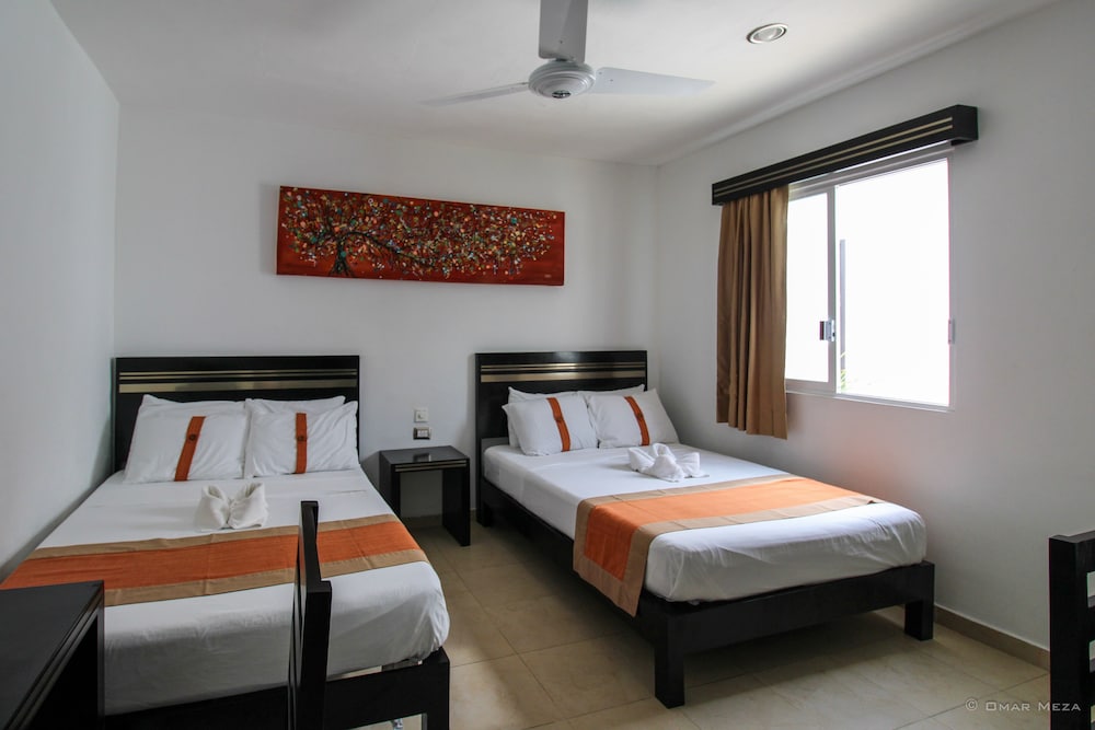 Gayser Apartamentos 13/39