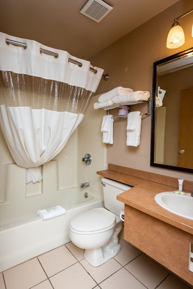 Ridgway-Ouray Lodge and Suites 49/51