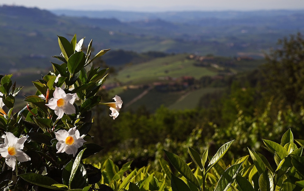 La Ribezza Boutique Hotel 29/50