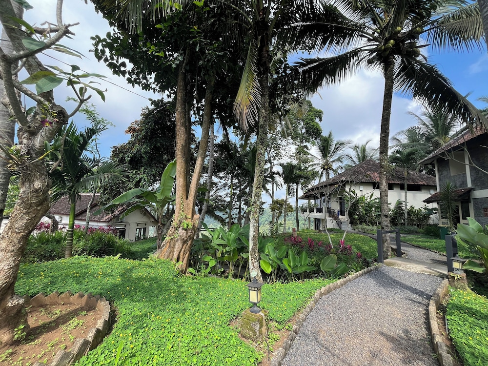 Domisili Ijen Cliff by Fays Hospitality 39/50