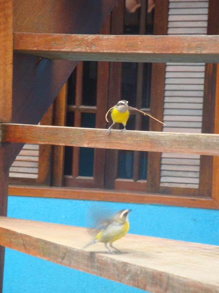 Pousada Bugio 1/35