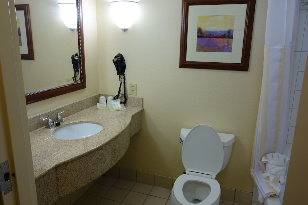 Hilton Garden Inn Atlanta East Stonecrest 19/63