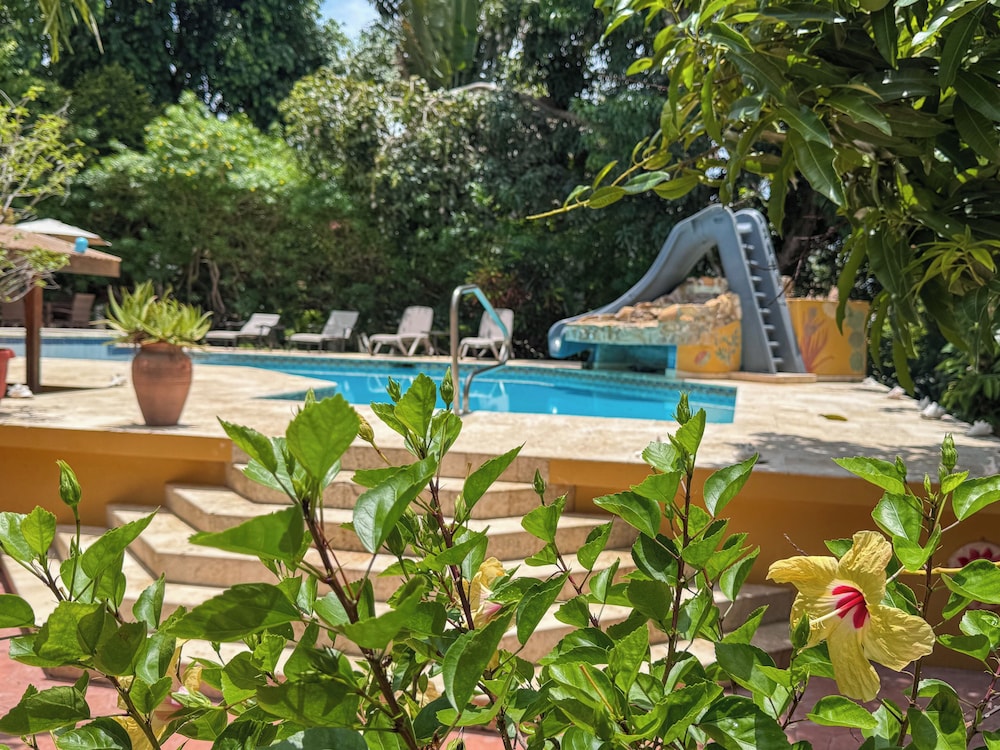 Caribbean Shores Bed & Breakfast 47/50