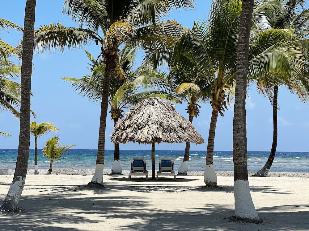 Blue Marlin Beach Resort 41/51