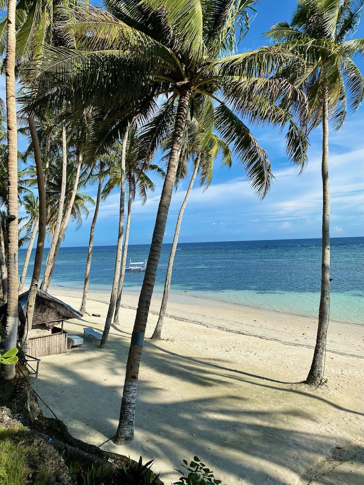 Anda White Beach Resort 57/64
