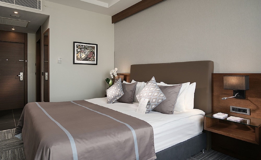 Radisson Blu Hotel Ankara Cankaya 13/56