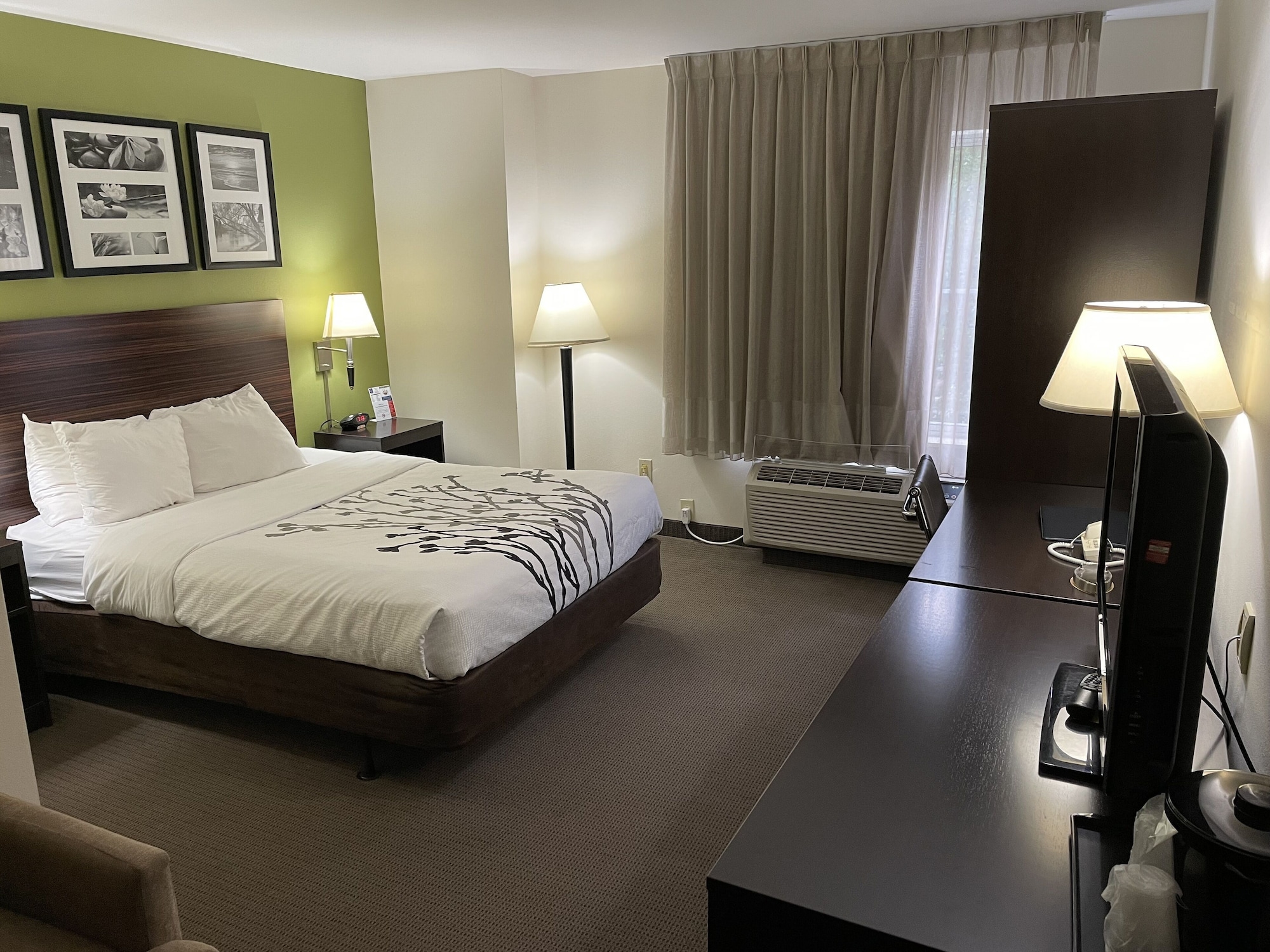 STANDARD, QUEEN BED, ACCESSIBLE