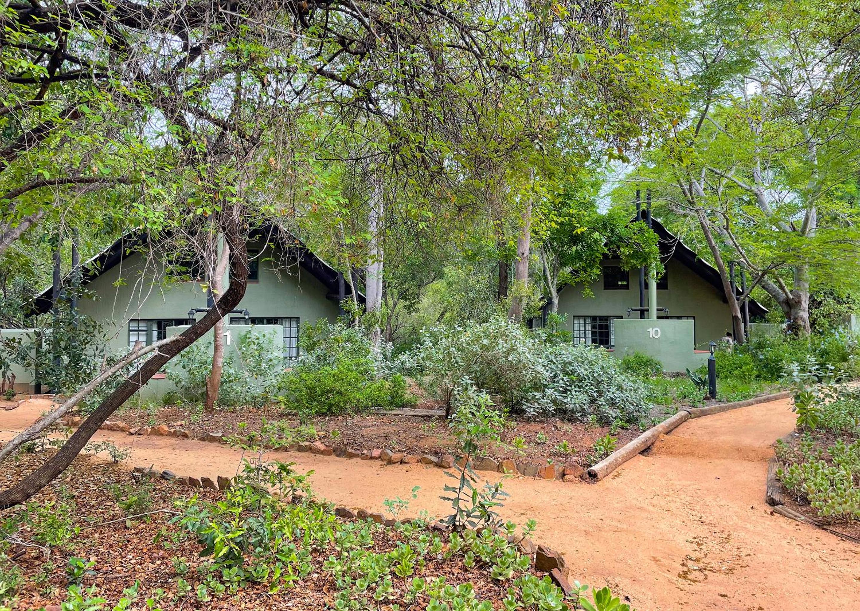 Burchells Bush Lodge 19/24