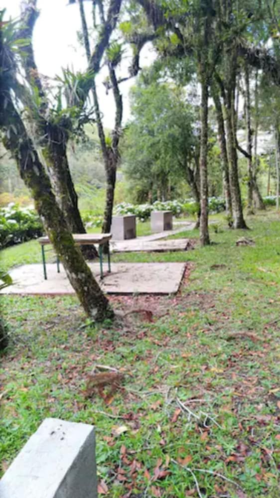 surroundings