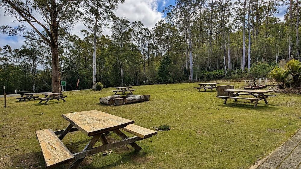 Cradle Forest Inn 27/50