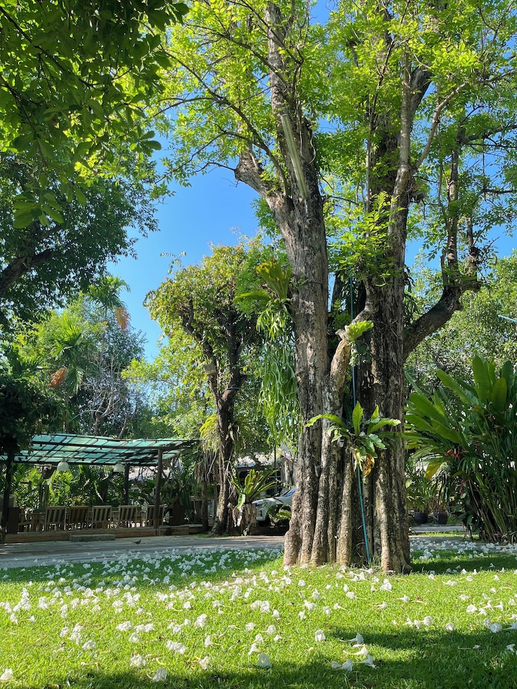 Rommai Greenpark Lampang 38/47