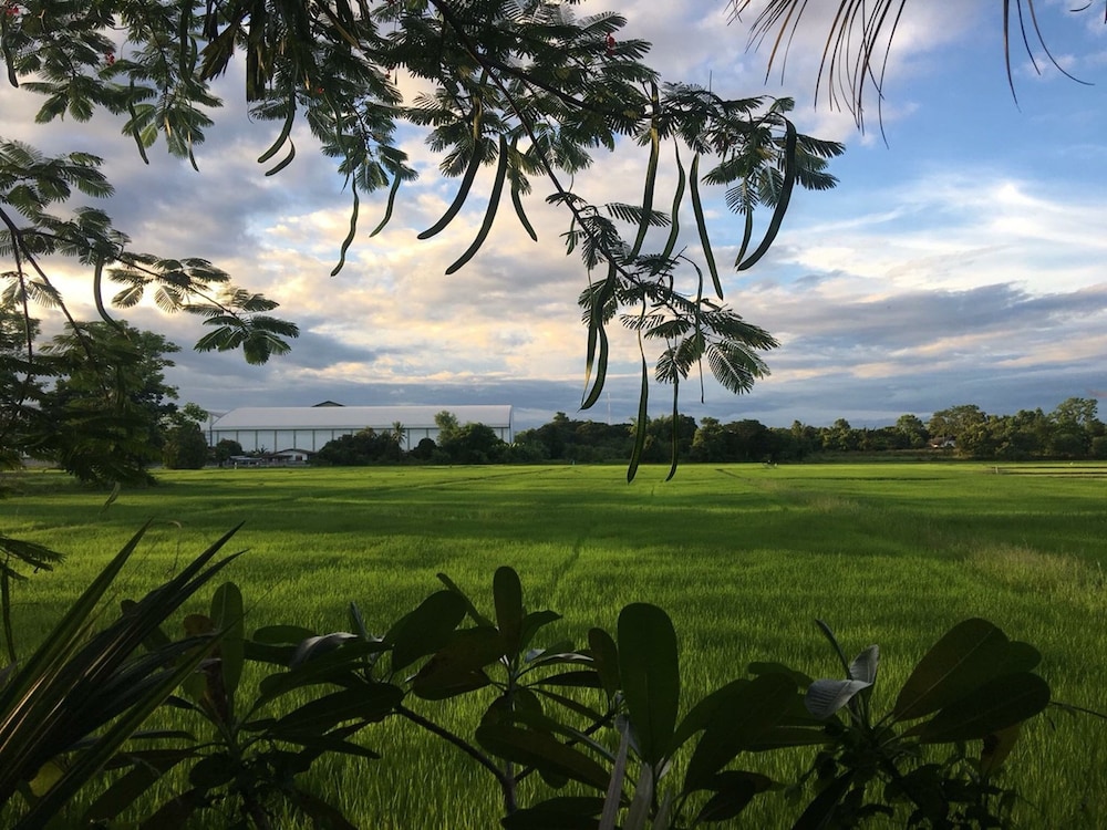 Baan Suan Palm Resort 14/36