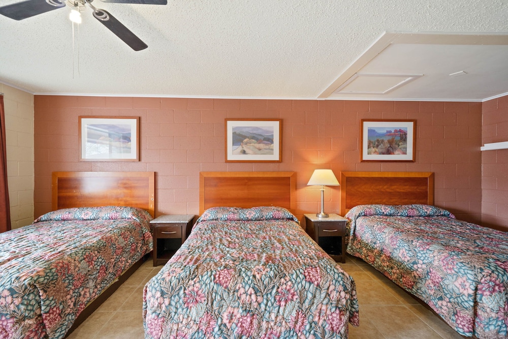 OYO Hotel Beeville US 181 10/64