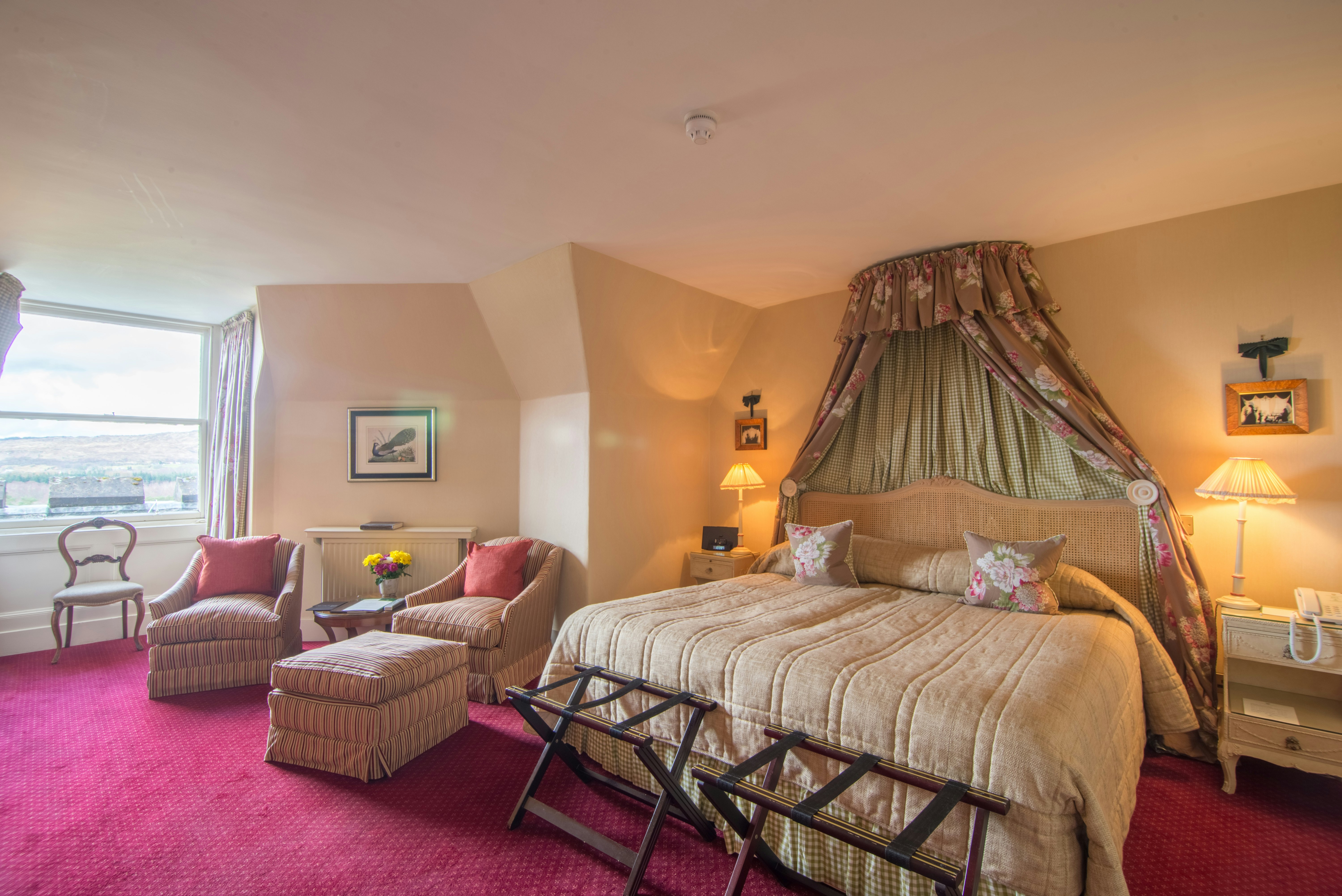 Room, Double Bed, Large