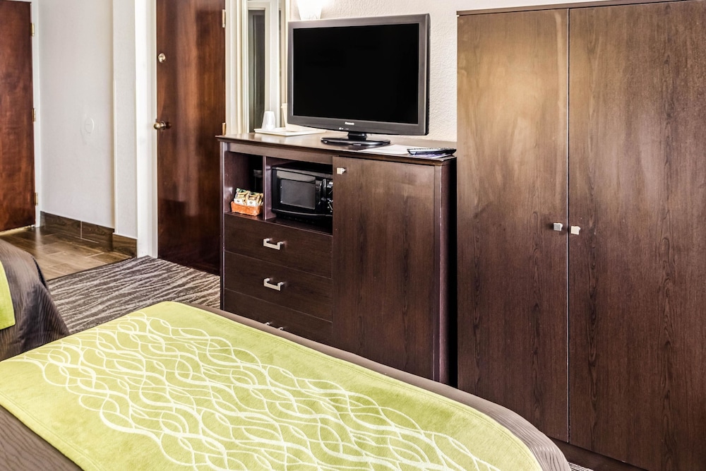 Comfort Inn Downtown Charleston 34/35