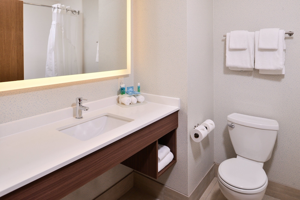 Holiday Inn Express Hotel & Suites Lacey-Olympia 17/49