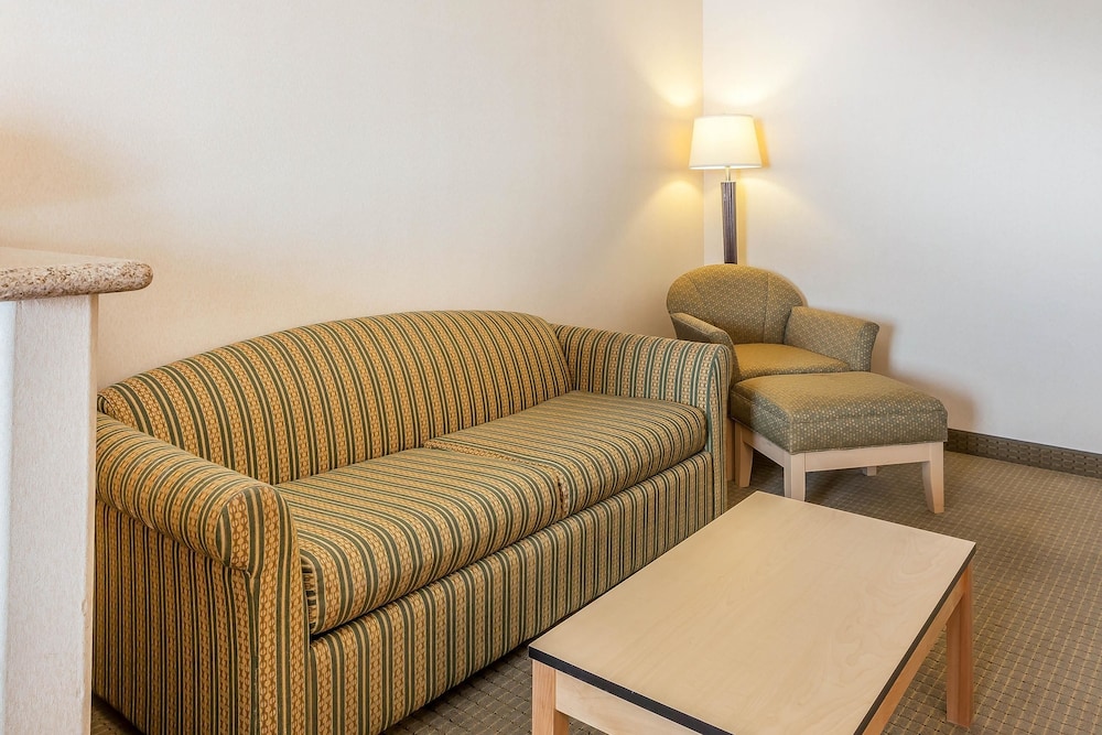 Comfort Inn & Suites Airport Convention Center 27/43