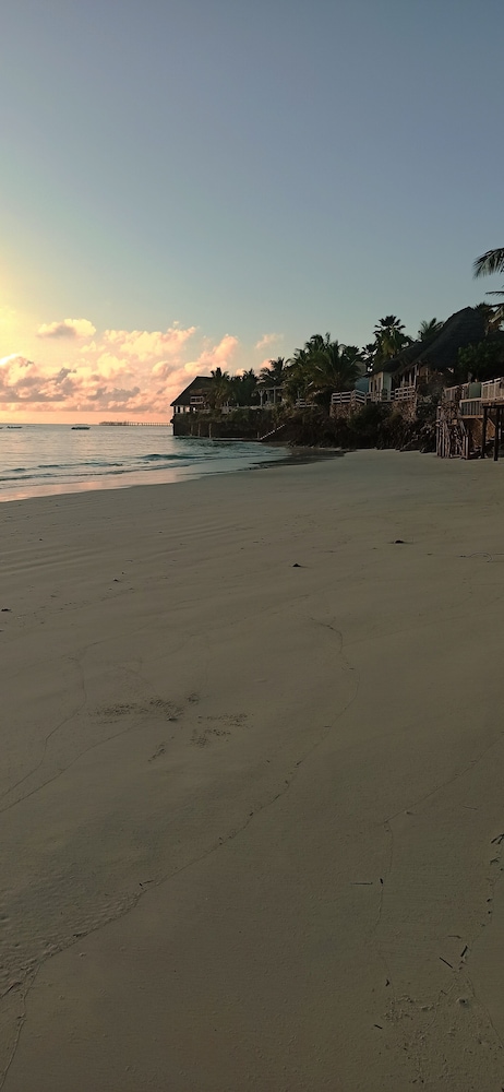 Arthotel Zanzibar 46/50