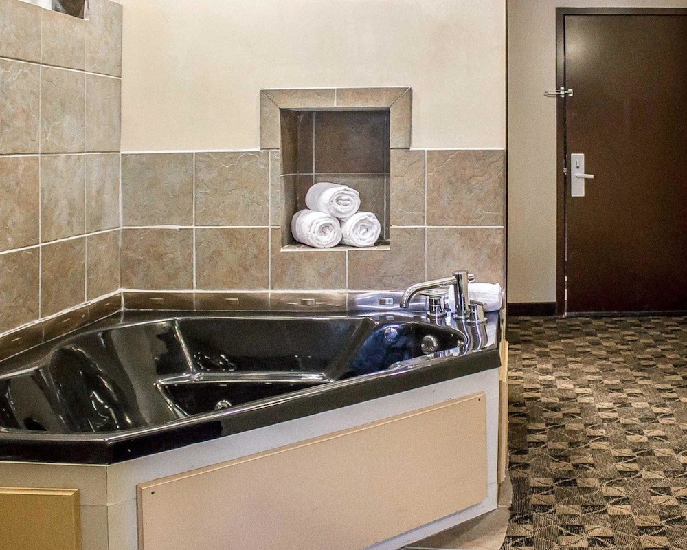 Comfort Suites Perrysburg - Toledo South 23/49