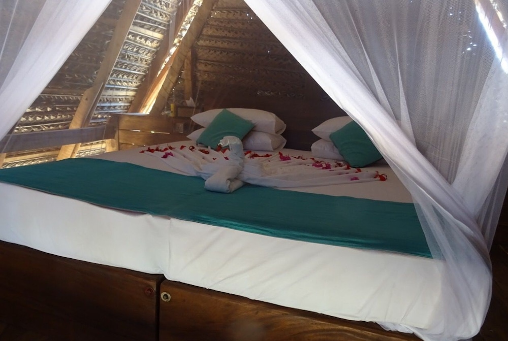 Elements Beach & Nature Resort 13/50