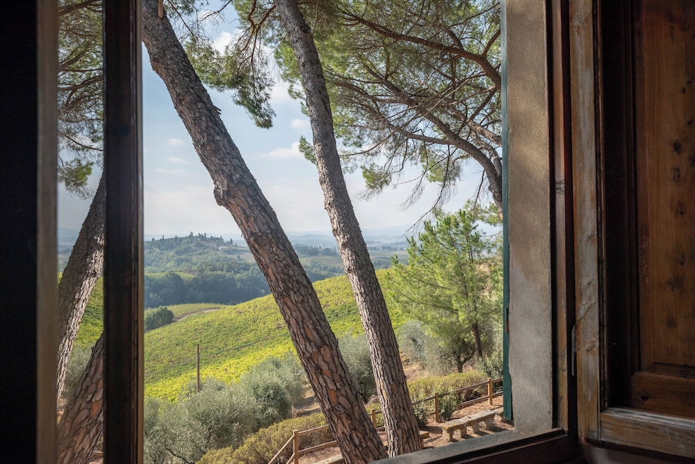 Fattoria il Bacio 23/50