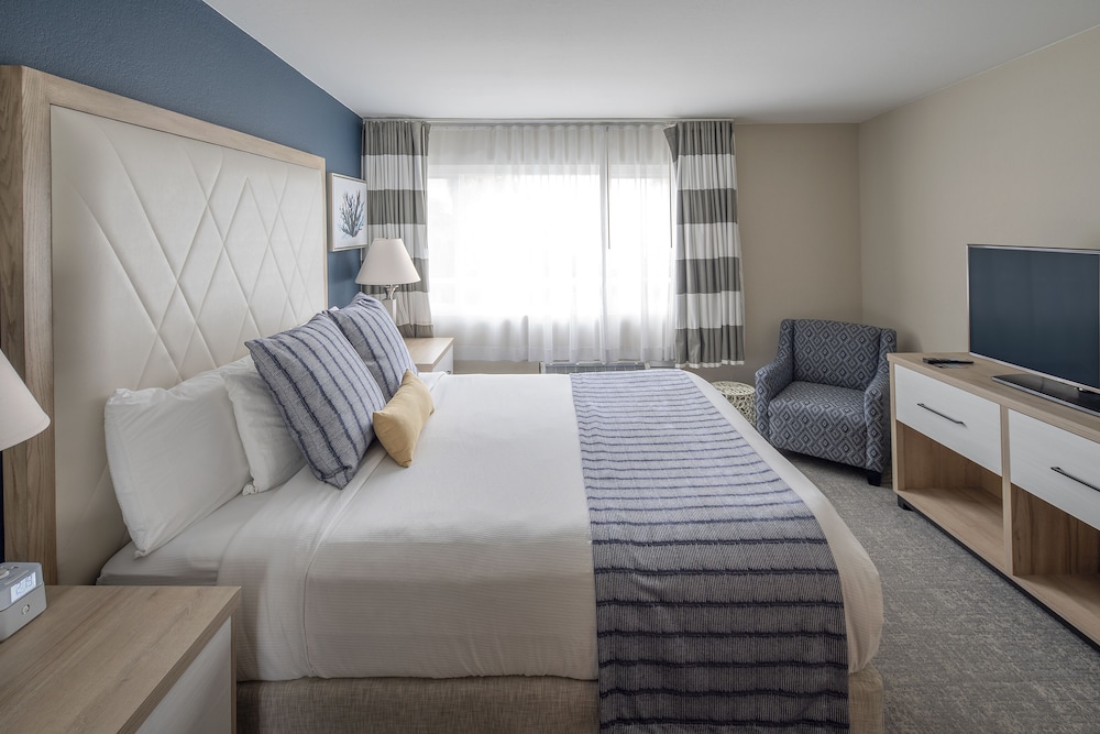Suite, King Bed, Bay View, Sofa