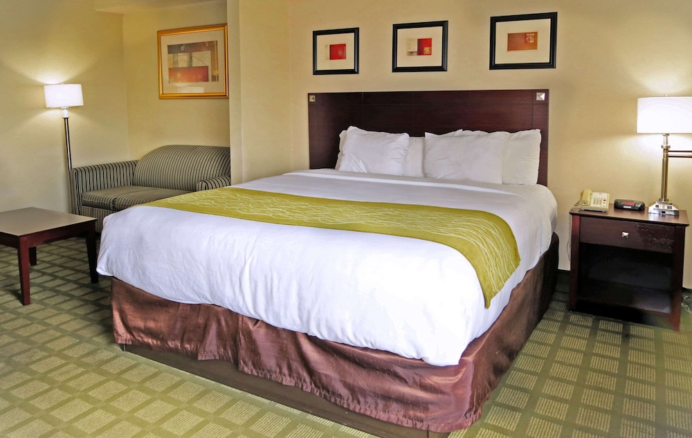 SUITE, KING BED