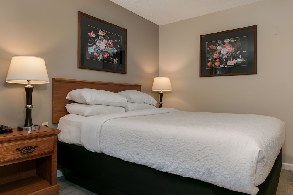 尤金市中心寇提希旅馆(Courtesy Inn Eugene) 图片2