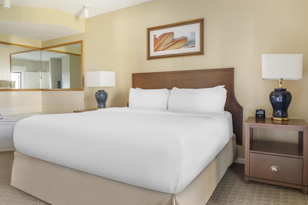 1 BEDROOM, PLUS, DELUXE, SUITE, KING BED, SOFA
