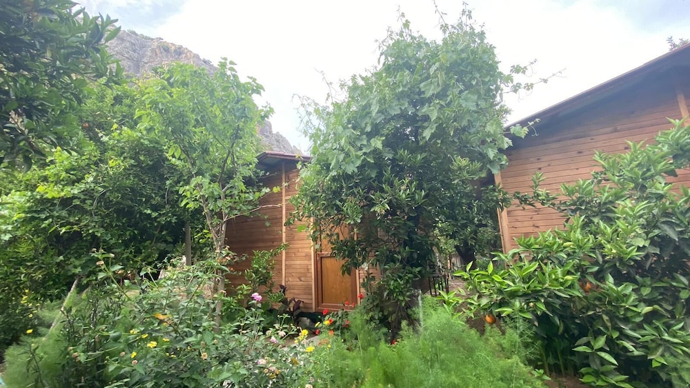 Olympos Mercan Pansiyon 5/50