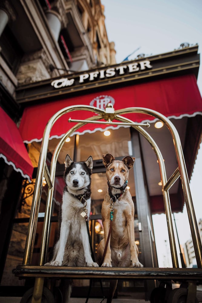 The Pfister Hotel in MILWAUKEE - WI