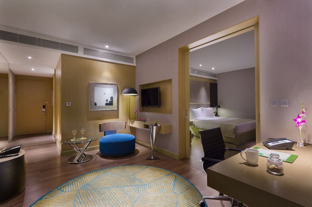Holiday Inn New Delhi Aerocity by IHG 57/79