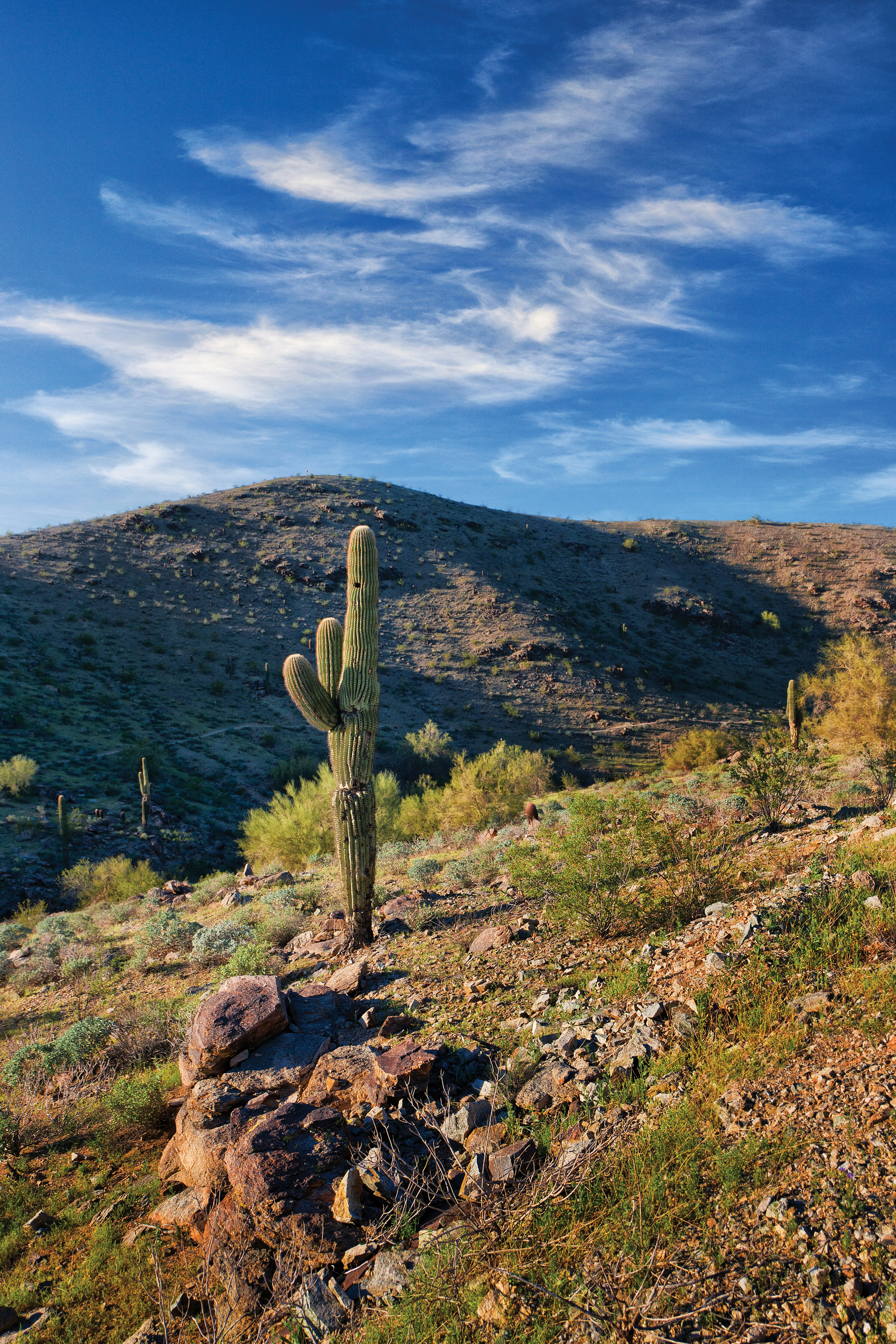 Worldmark Phoenix South Mountain Preserve 19/50