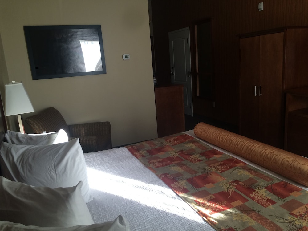 Best Western Plus Service Inn and Suites 18/56