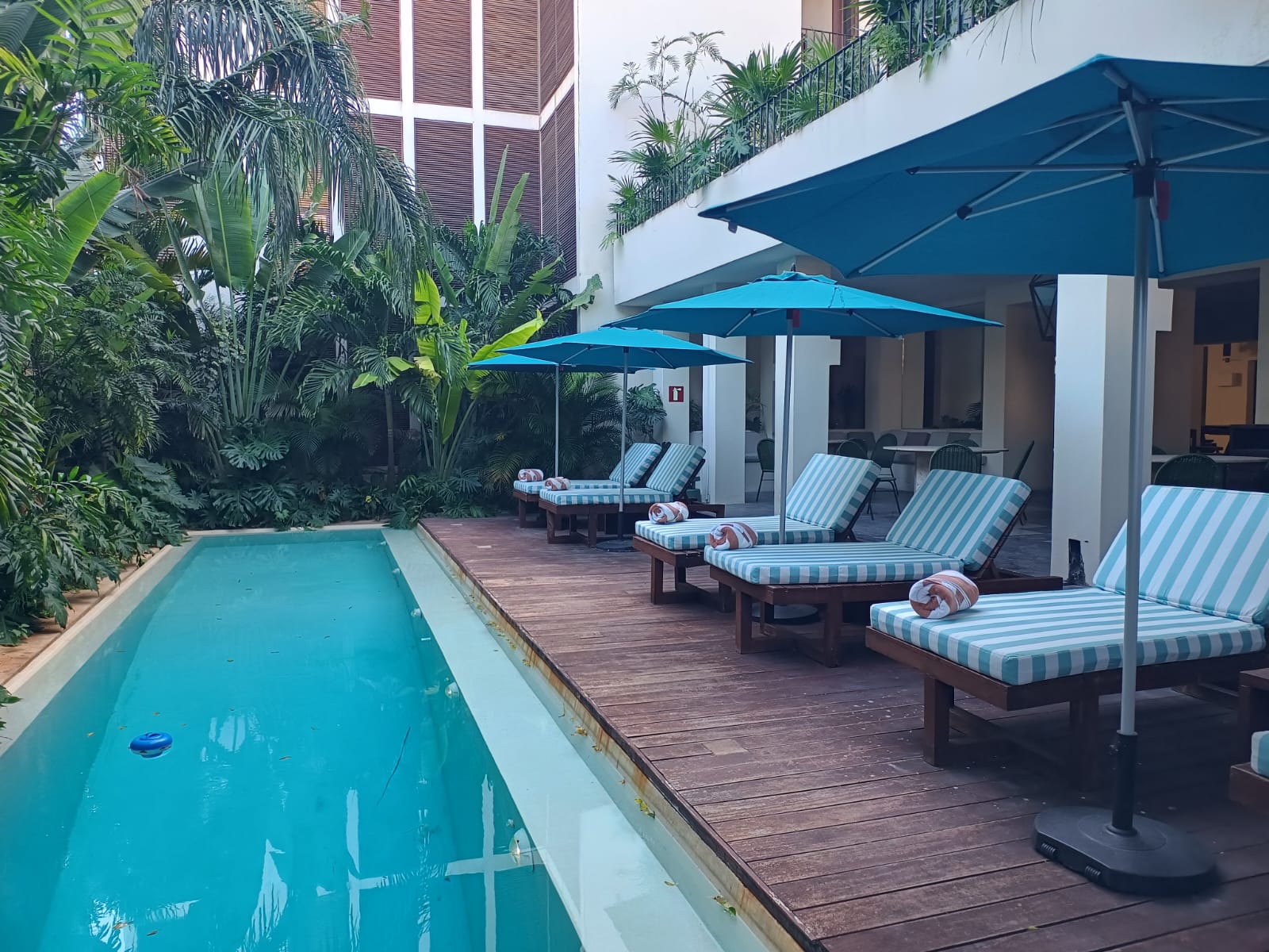 Downtown Tulum Hotel 50/50