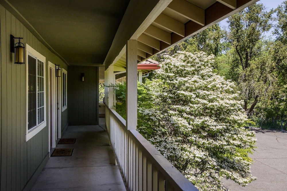 The Jack London Lodge 43/45