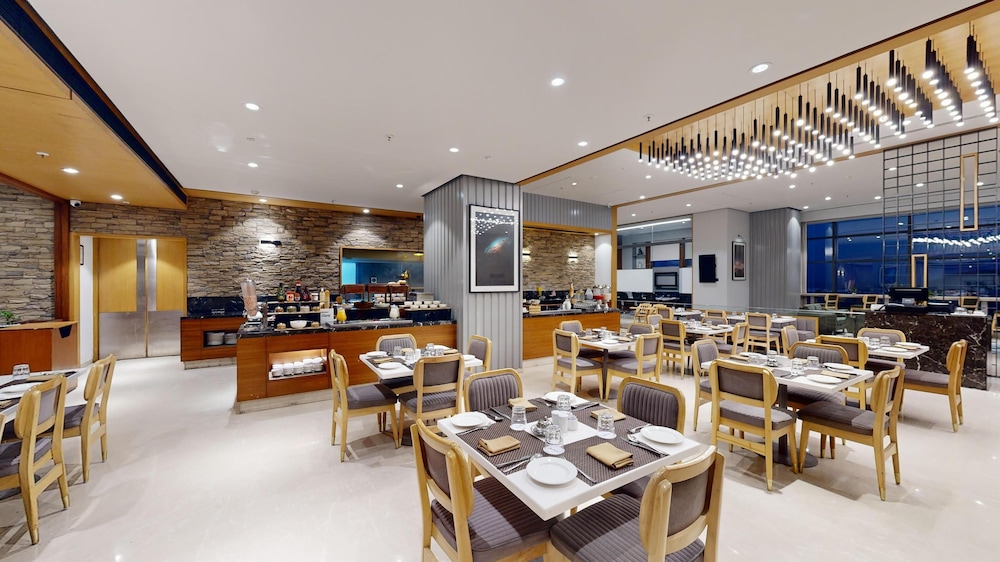 Radisson Hotel Nathdwara 31/46