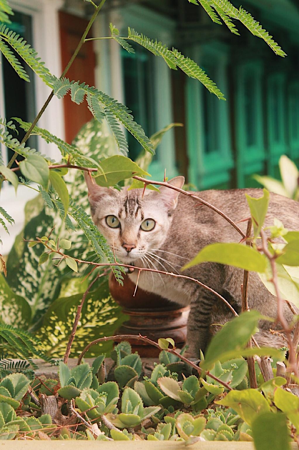 Kacha Resort 49/53