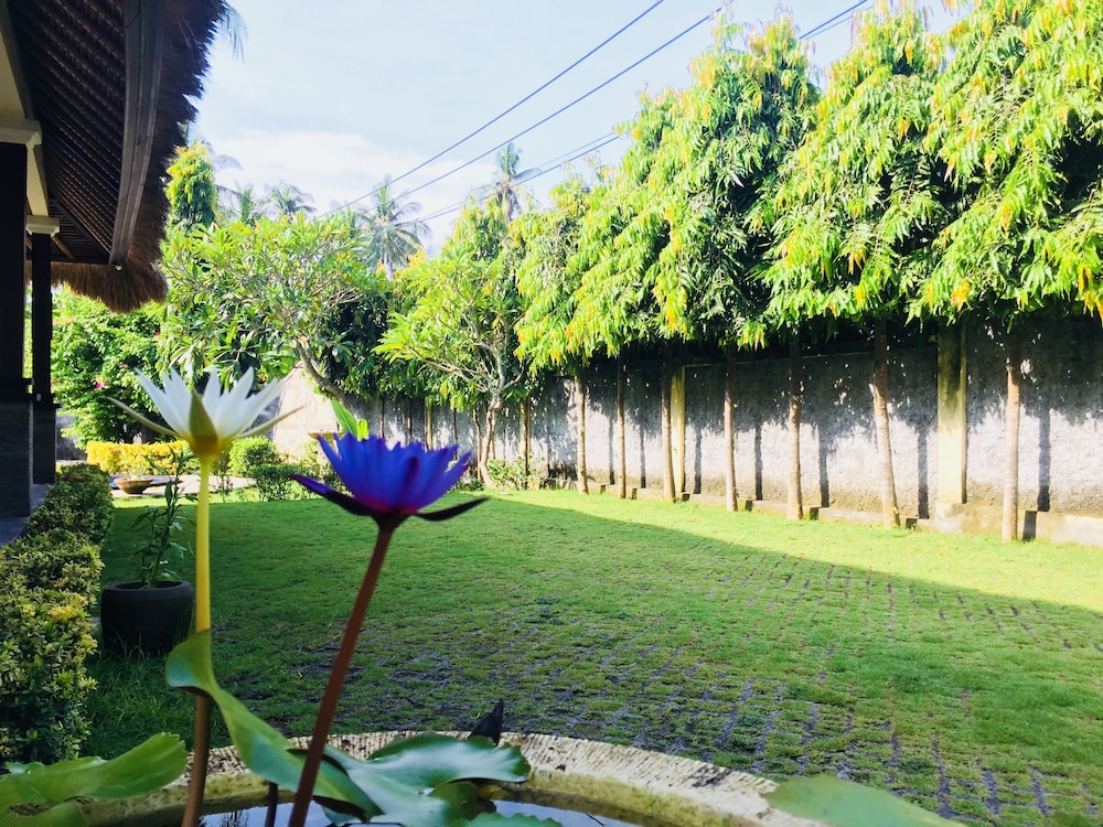 Mutiara Bali 24/50