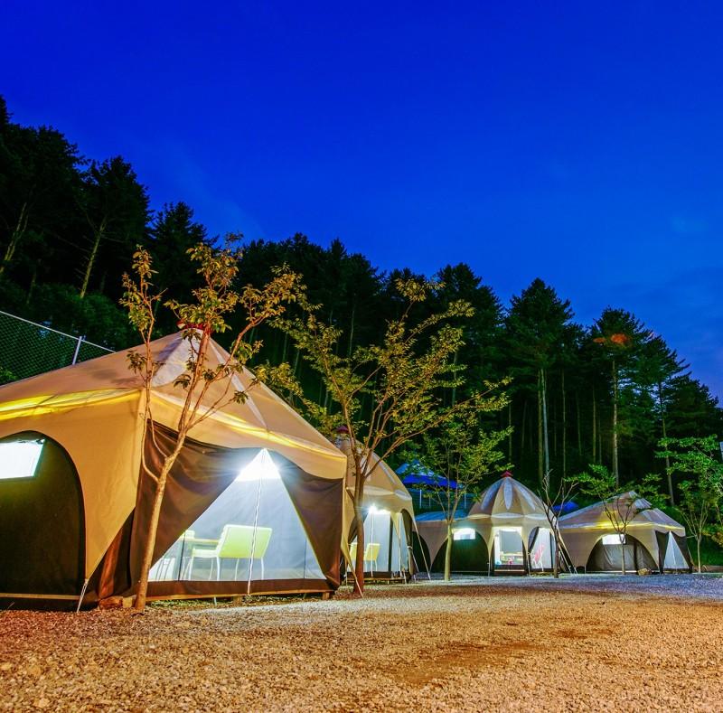 Gapyeong Animal Caravan Pension 35/37