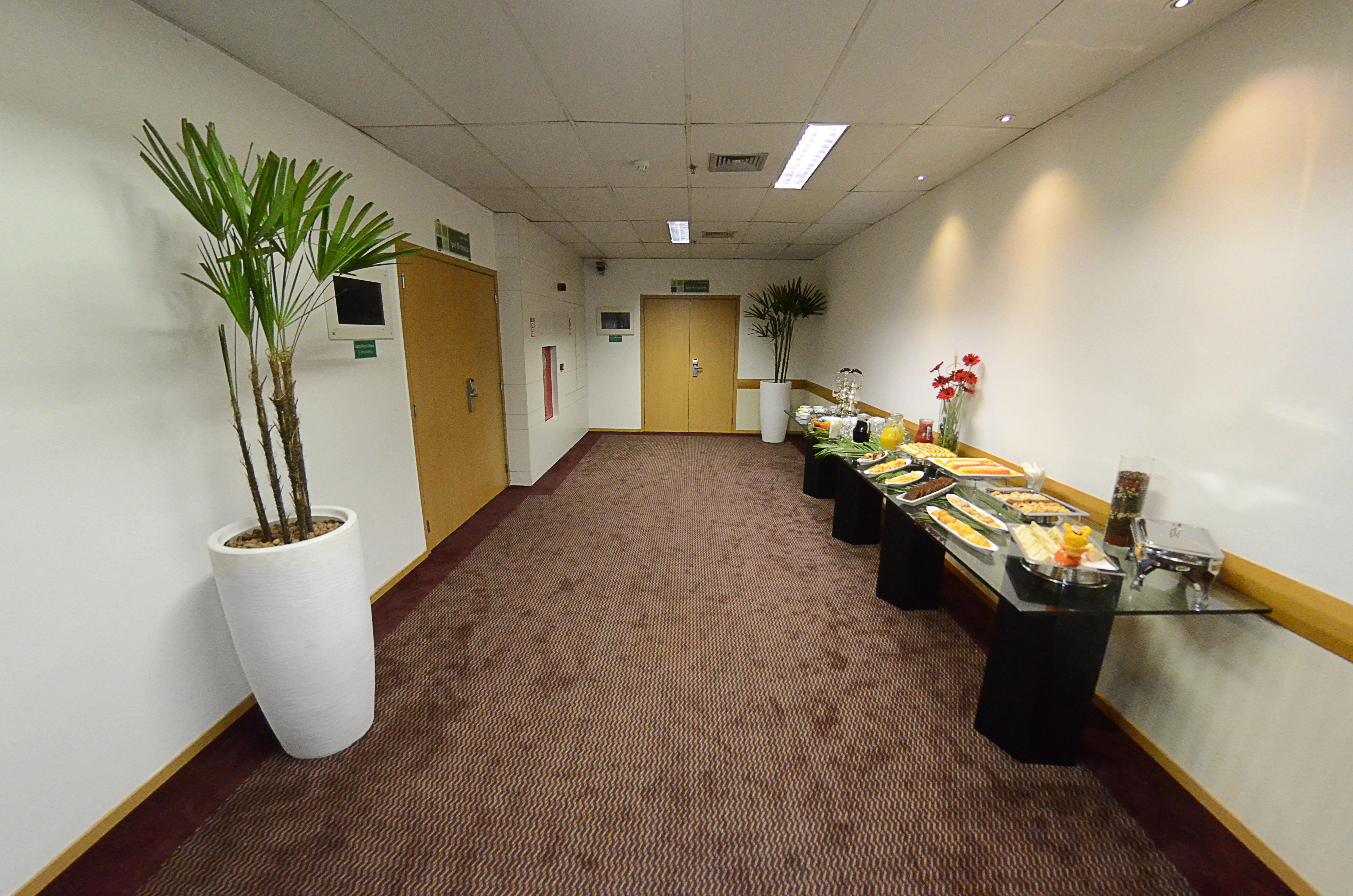 Holiday Inn Sao Paulo Parque Anhembi 46/79