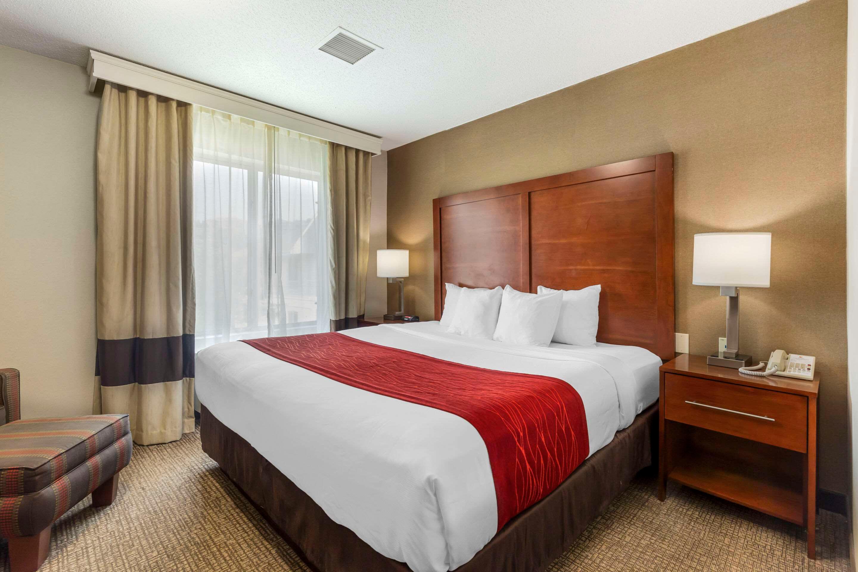 BUSINESS, SUITE, KING BED