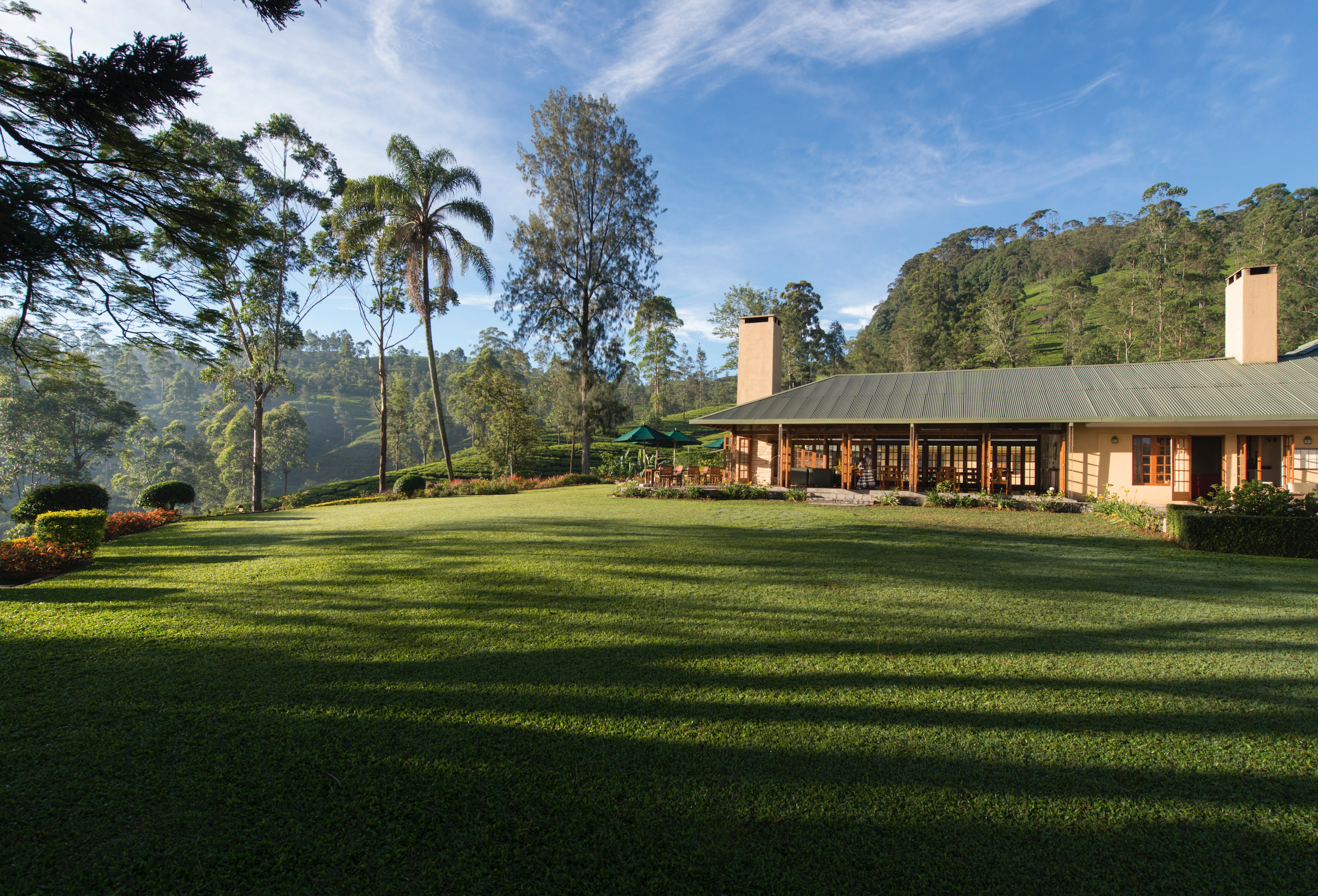 Tea Trails 42/43